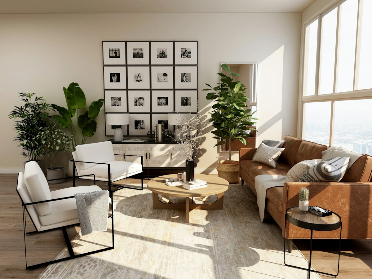 Sunlit living room with a low sofa